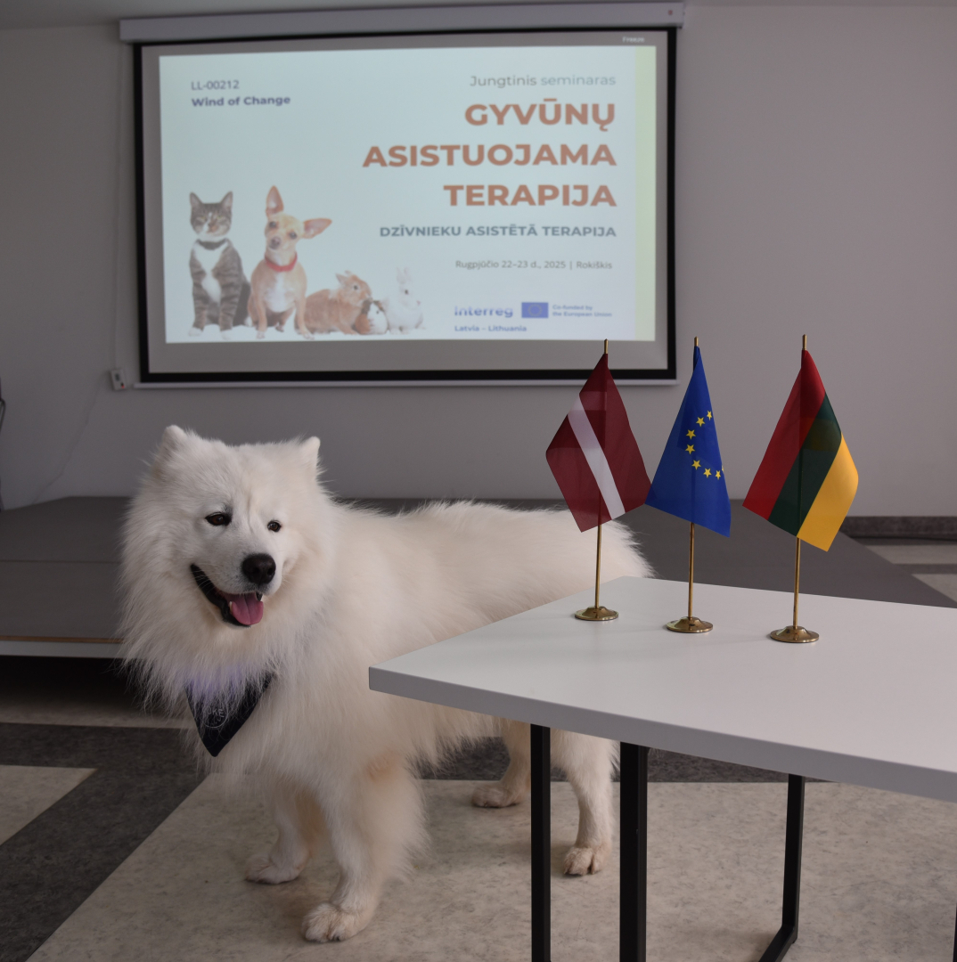Projekta aktivitātes