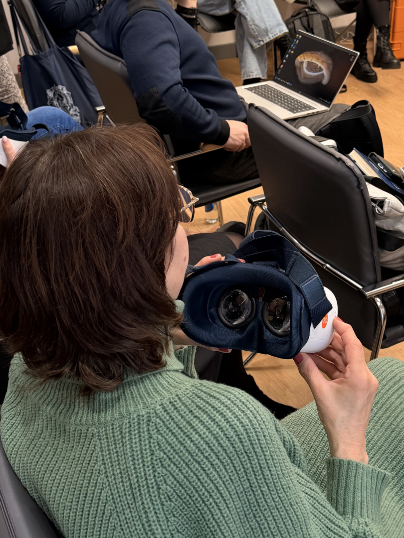 Projekta aktivitātes