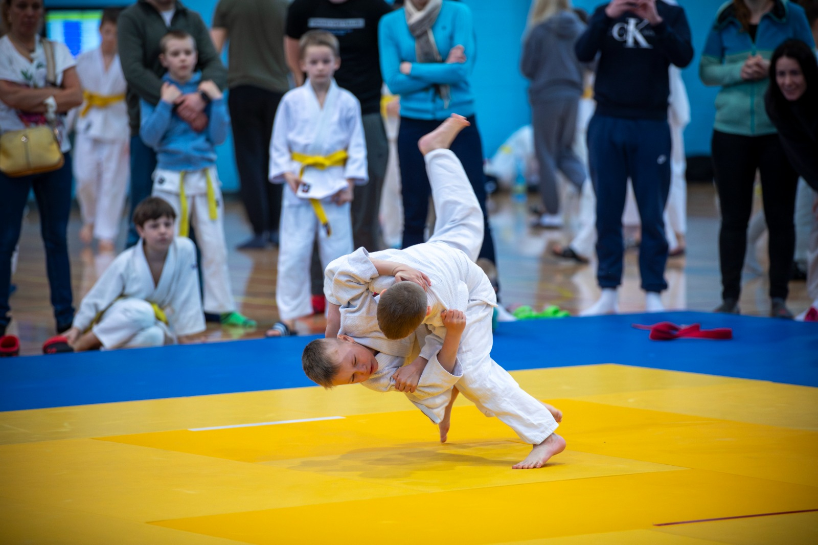 Nõo Judoturniir 2025
