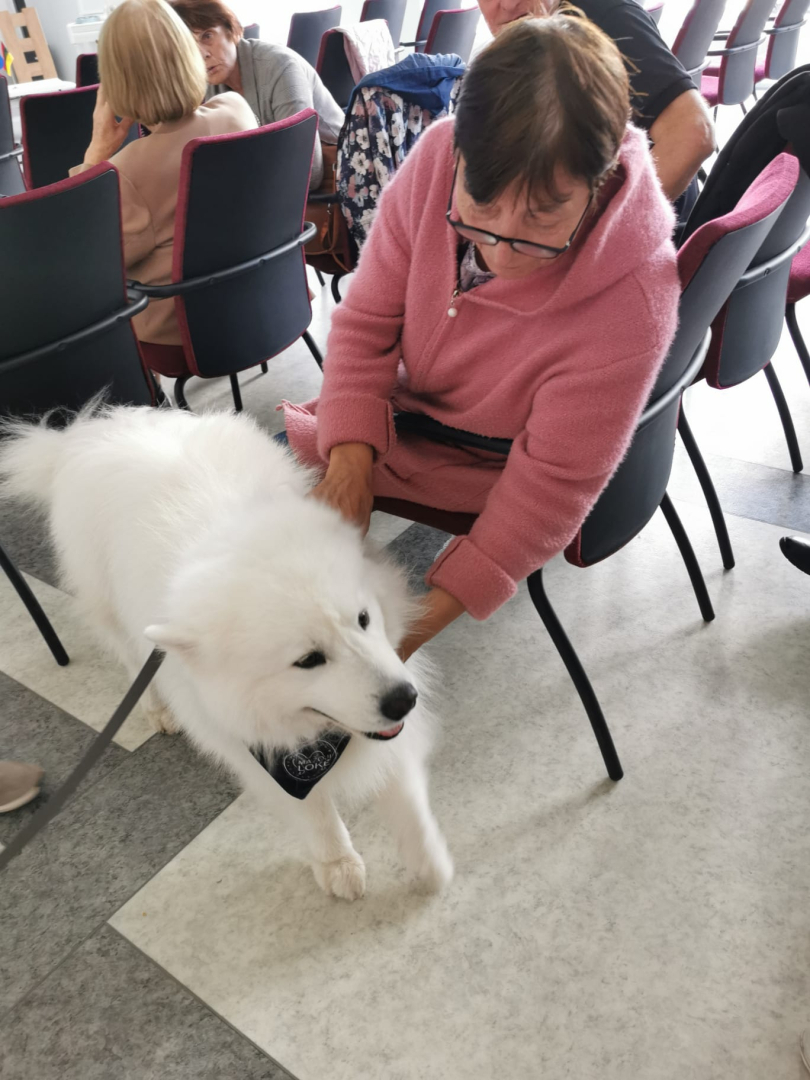 Projekta aktivitātes