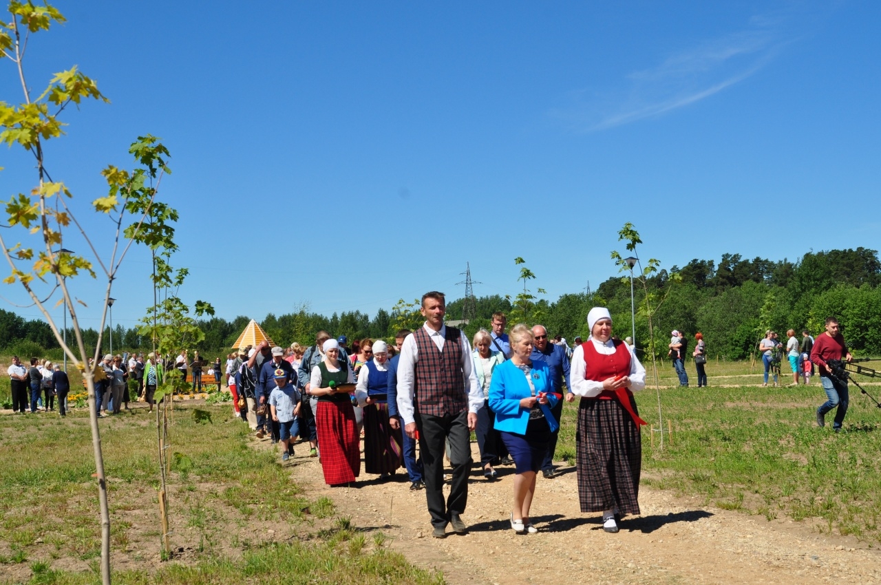 Projekta aktivitātes