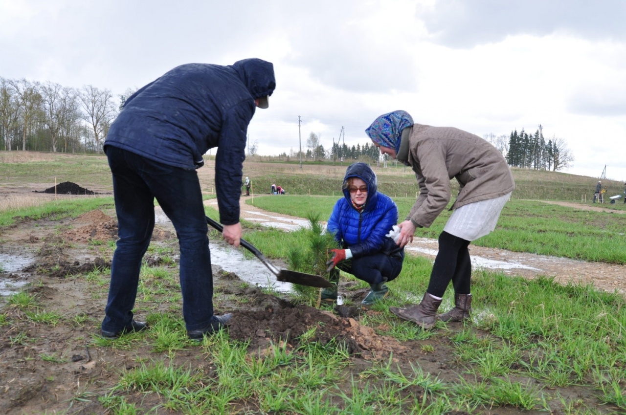 Projekta aktivitātes