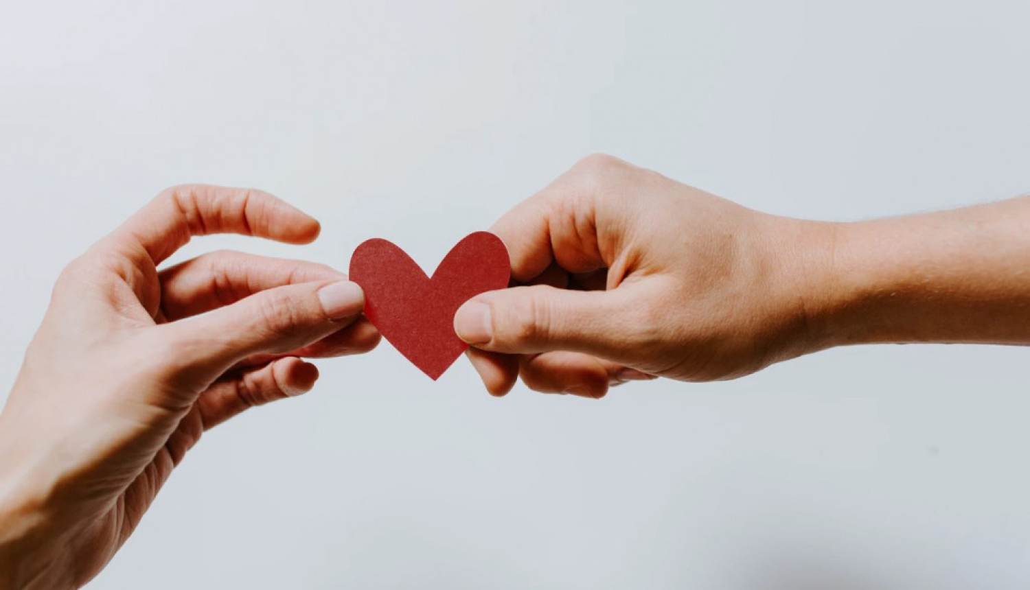 Asins donoru diena Ludzā