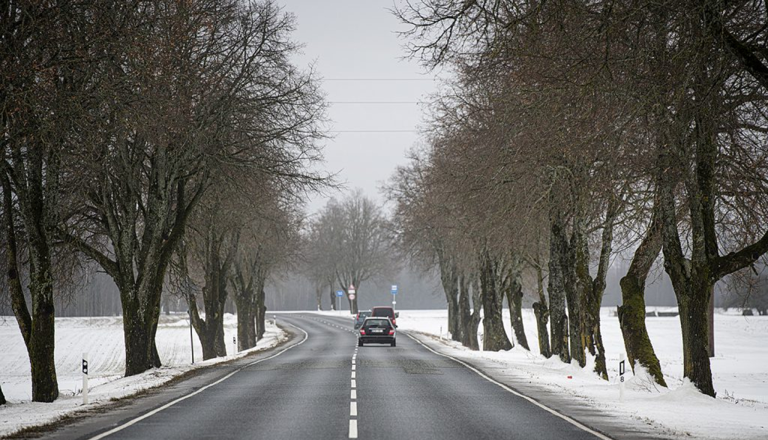 Ilustratīvs attēls