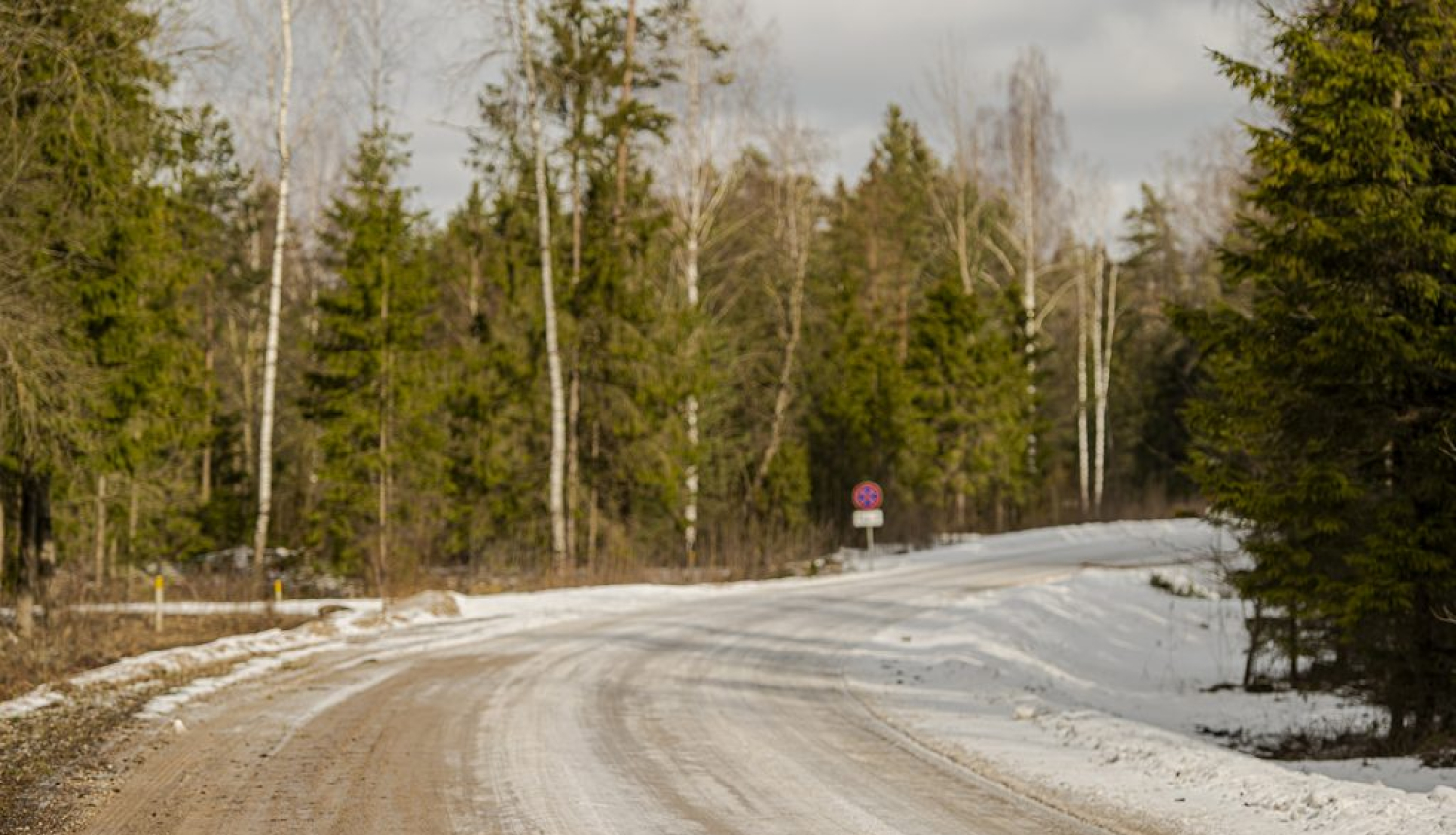 Pavasara šķīdonis