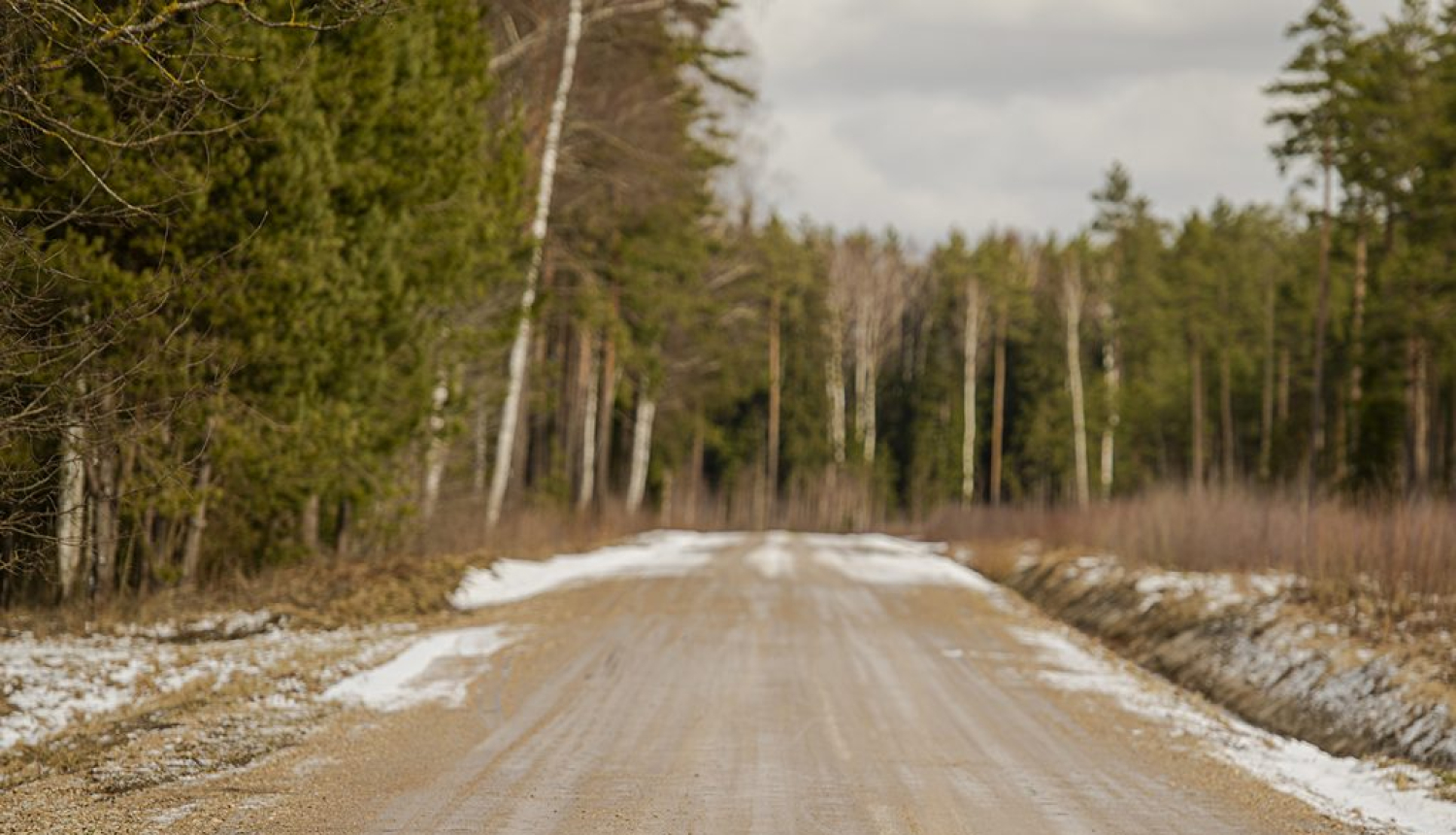 VSIA "Latvijas Valsts ceļi" publicitātes attēls