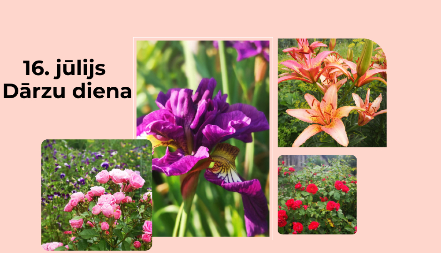 Apciemo Ludzas novada dārzus un to saimniekus!