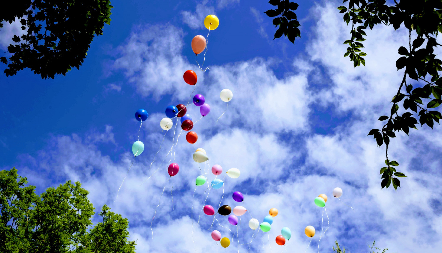 Izlaidumu laiks Ludzas novada izglītības iestādēs