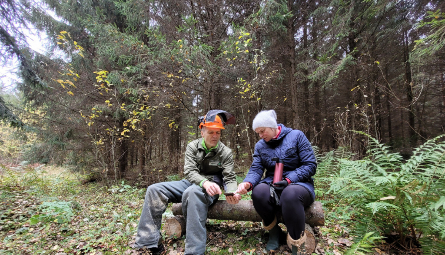 Labiekārto Filandmuižas Zilā akmens dabas taku
