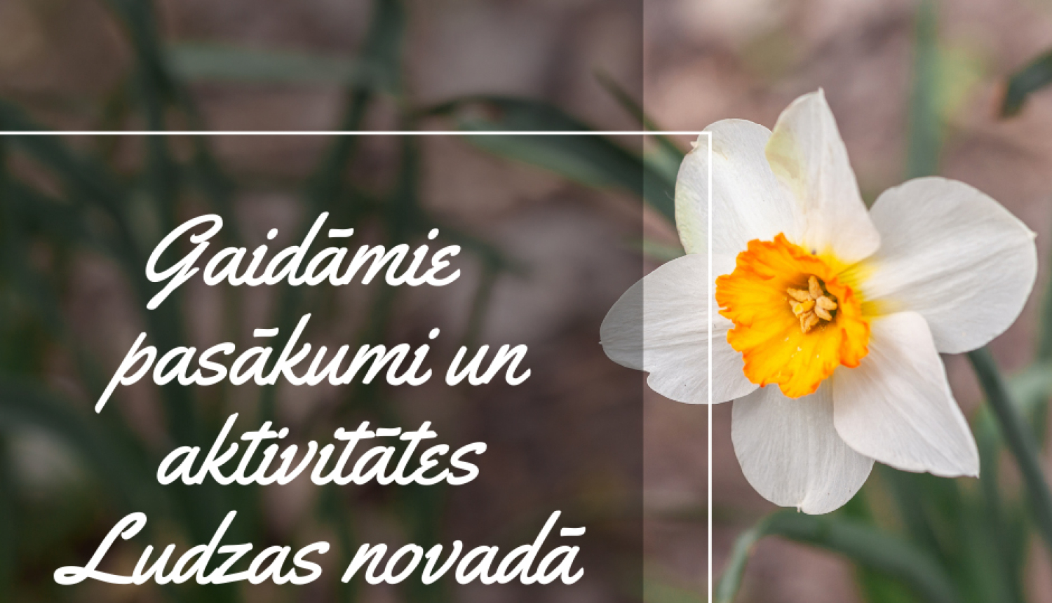 Kultūras pasākumi Ludzas novadā APRĪLĪ