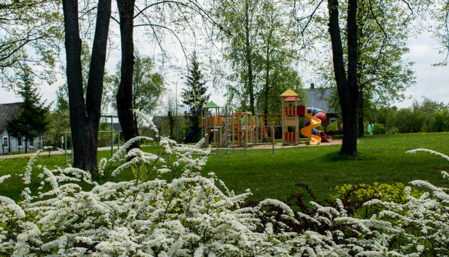 Aktualitātes Zilupē