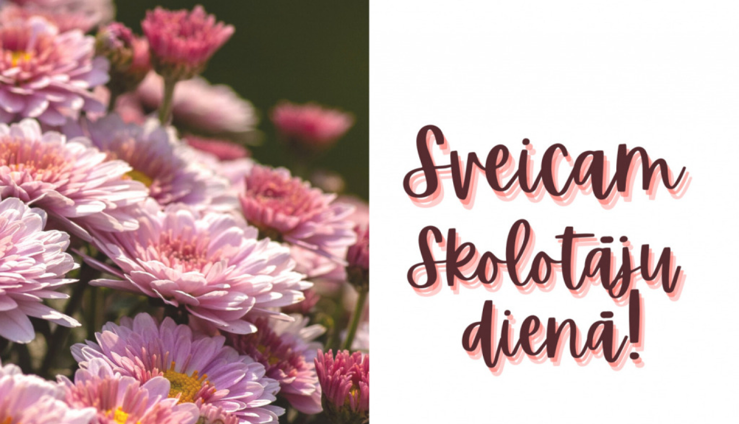 Ludzas novada pašvaldības domes priekšsēdētāja E.Mekša apsveikums Skolotāju dienā!