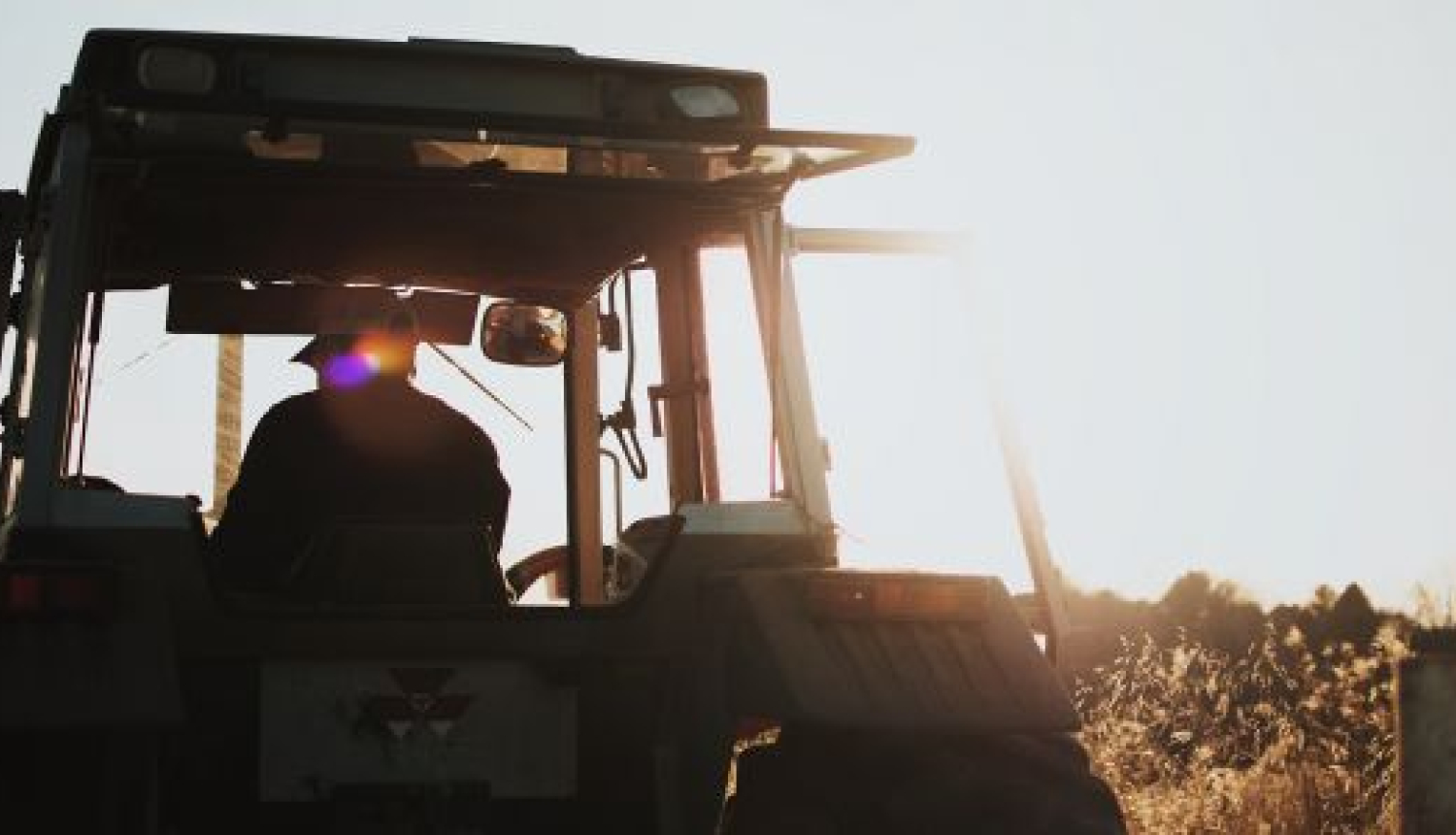 Atbalsts uzņēmējdarbības uzsākšanai, attīstot mazās lauku saimniecības