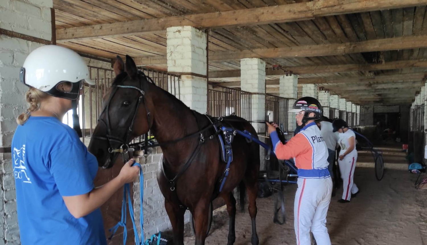 Rikšotāju zirgu sacensību “Latgales kauss” šogad paliek Ludzas novadā