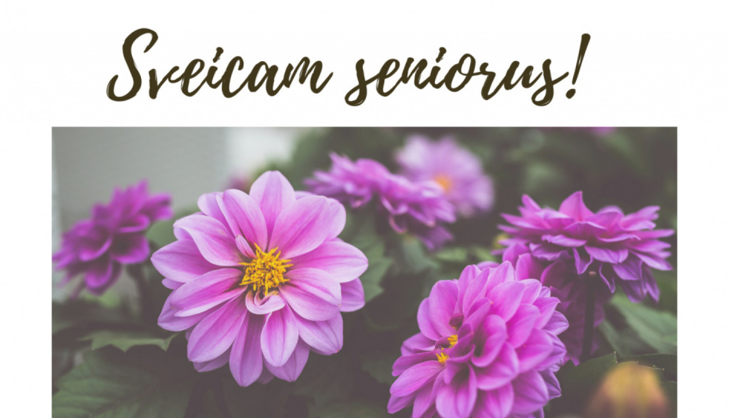 Sveicam Senioru dienā!