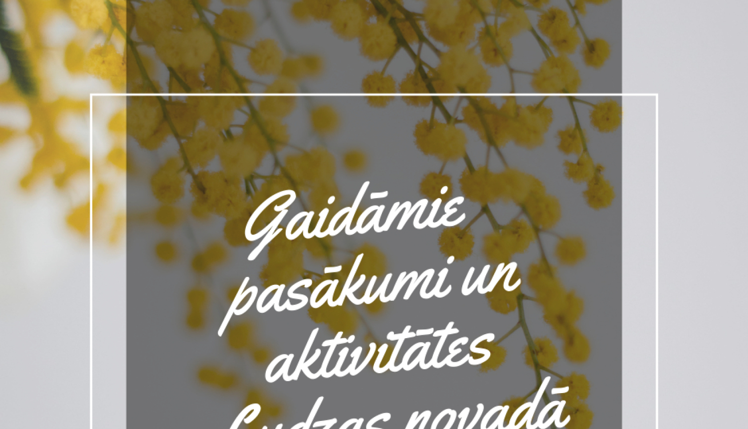 Kultūras pasākumi Ludzas novadā MARTĀ