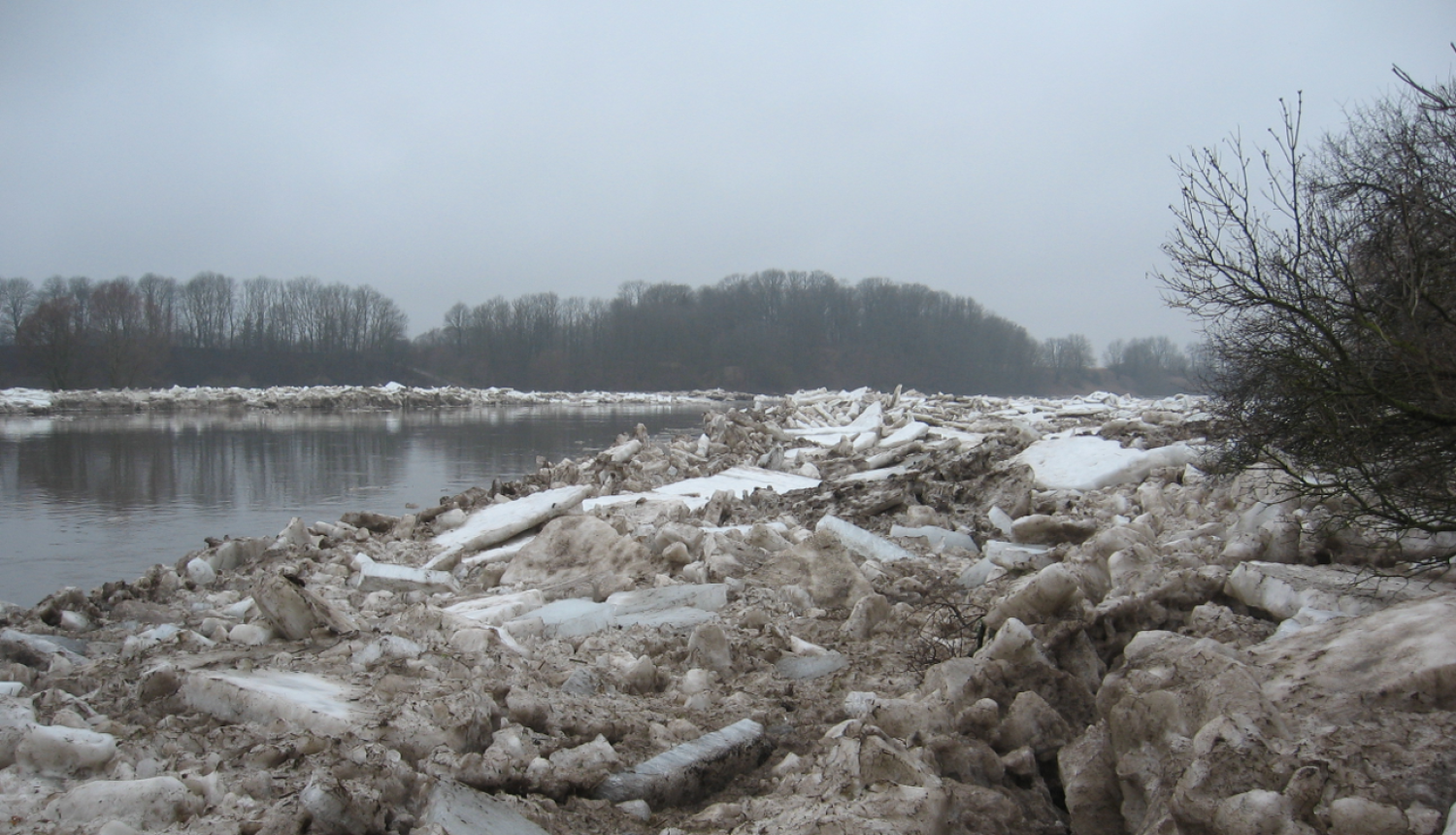 Pavasara pali. Mežotne, 2007. gads