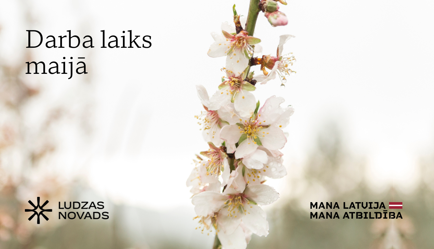 Ilustratīvs attēls