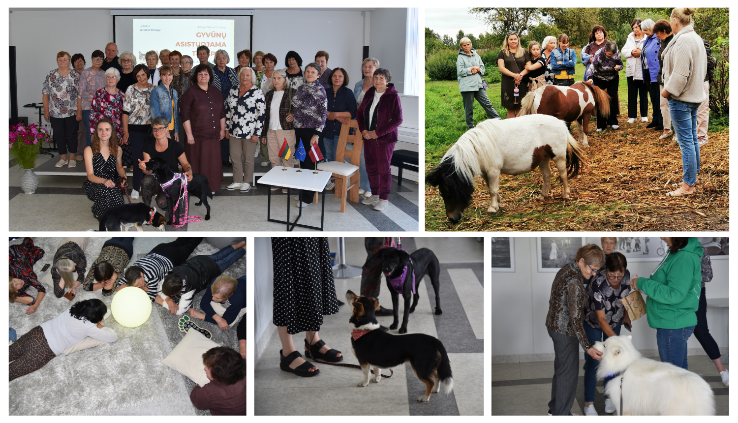 Projekta aktivitātes