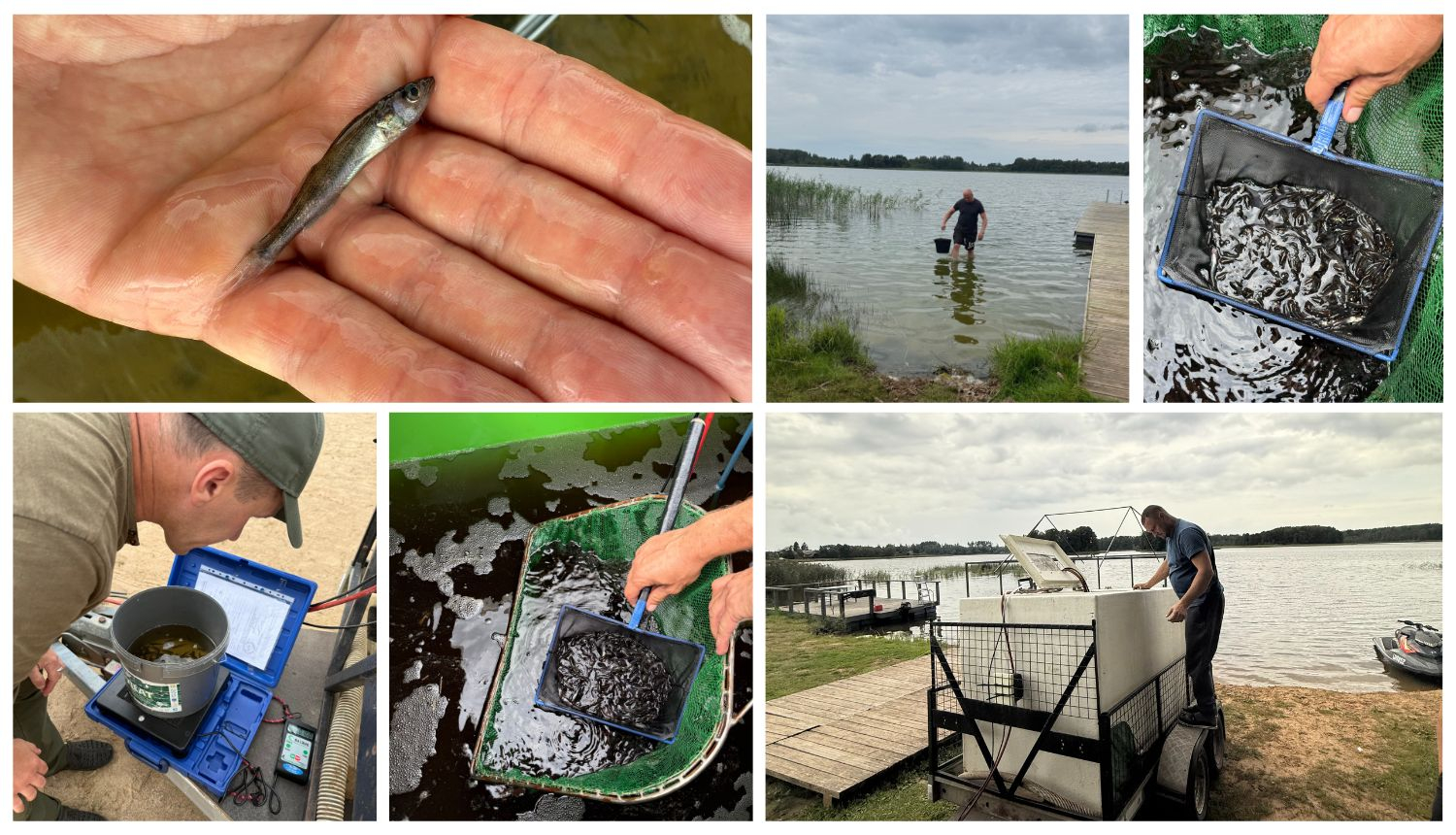 Publicitātes attēls