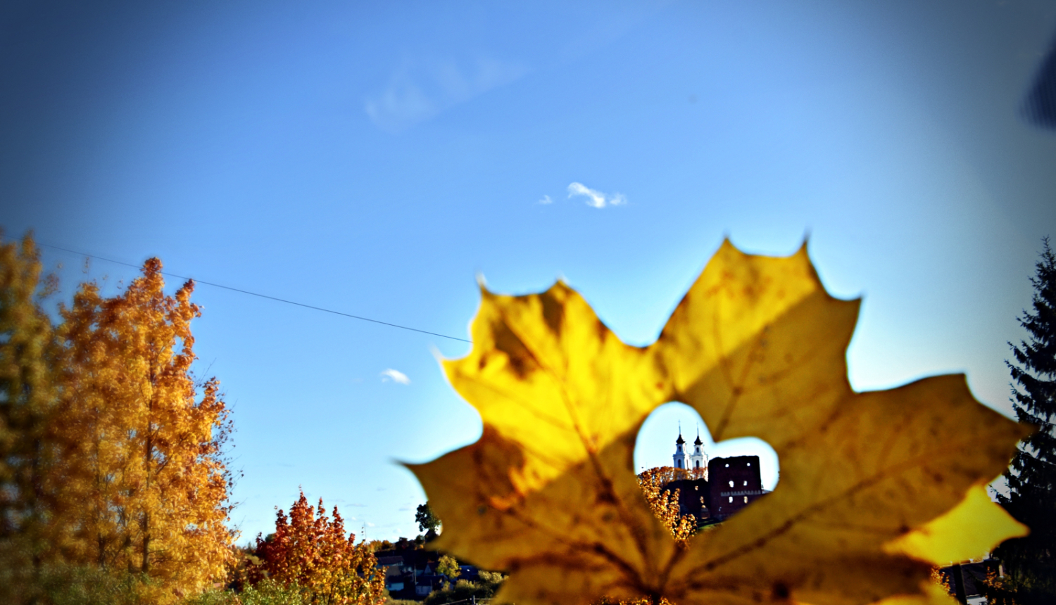 Ilustratīvs attēls