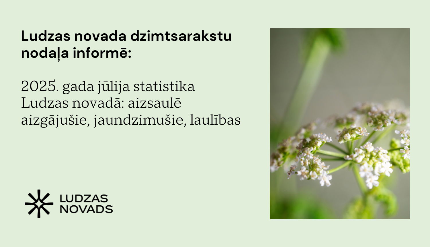 2025. gada jūlija statistika Ludzas novadā: aizsaulē aizgājušie, jaundzimušie, laulības