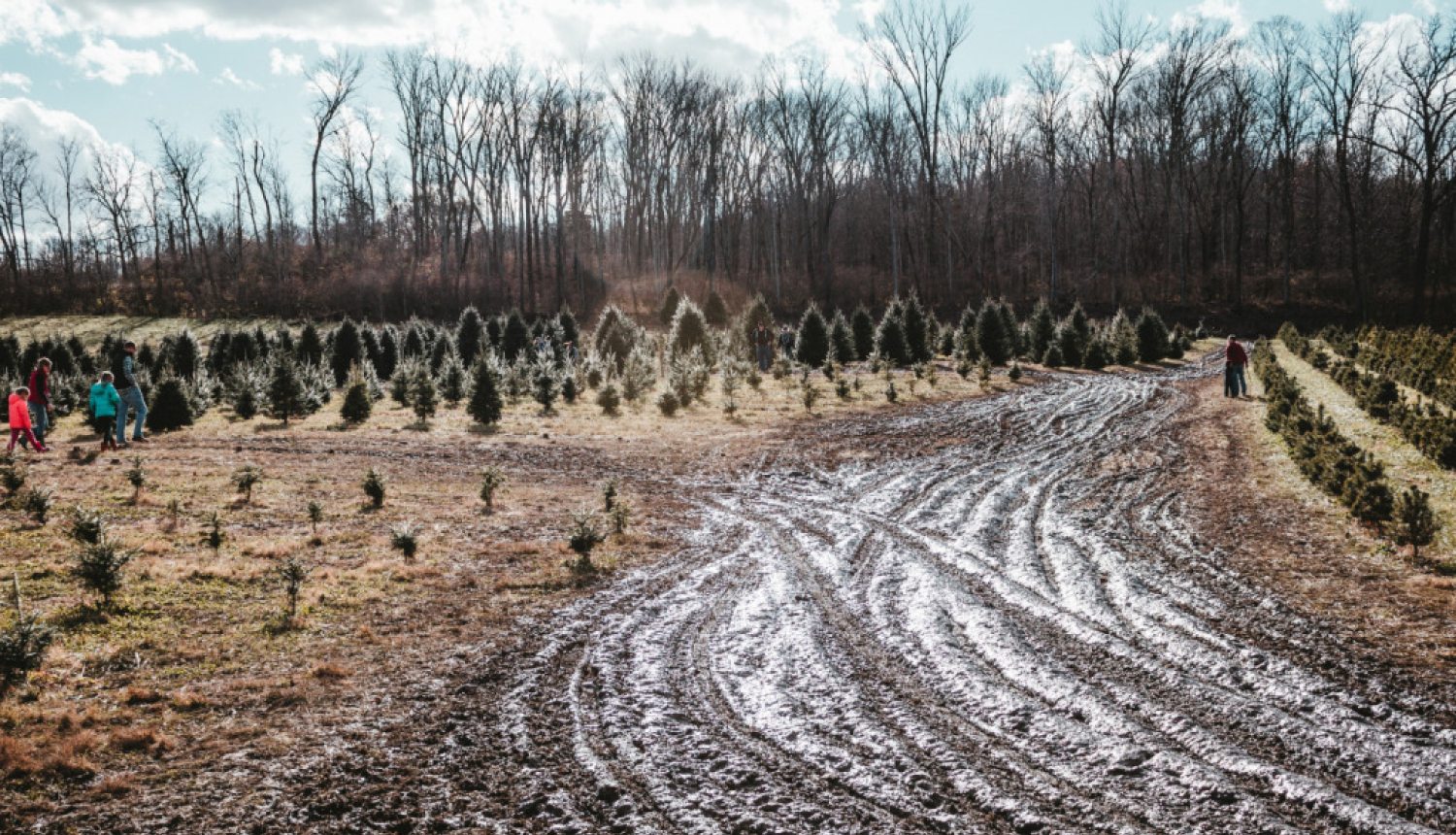 Par satiksmes ierobežošanu Lauderu pagastā
