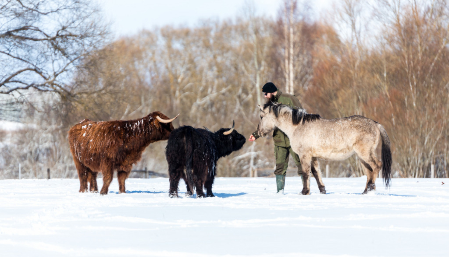 Ģimenes akcija “Izbaudi ziemu Ziemeļlatgalē”