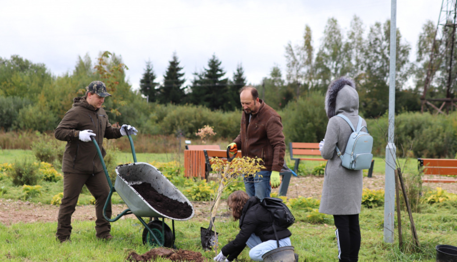 “Meža dienas 2021” ietvaros iestāda kokus Gaismas dārza teritorijā