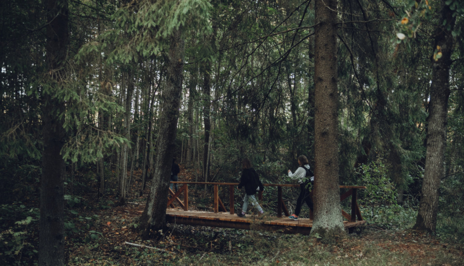 “Meža dienas” Ludzas novadā