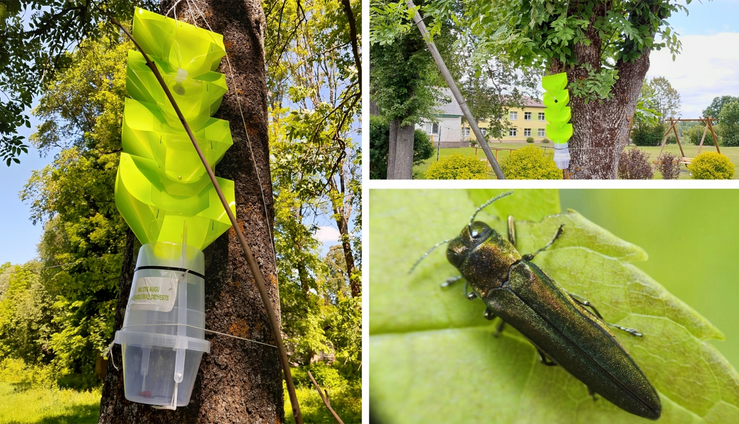 Publicitātes attēls