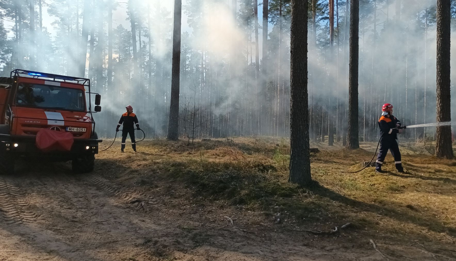 Vizuālis - Meža ugunsnedrošais laikposms sākas 1. maijā