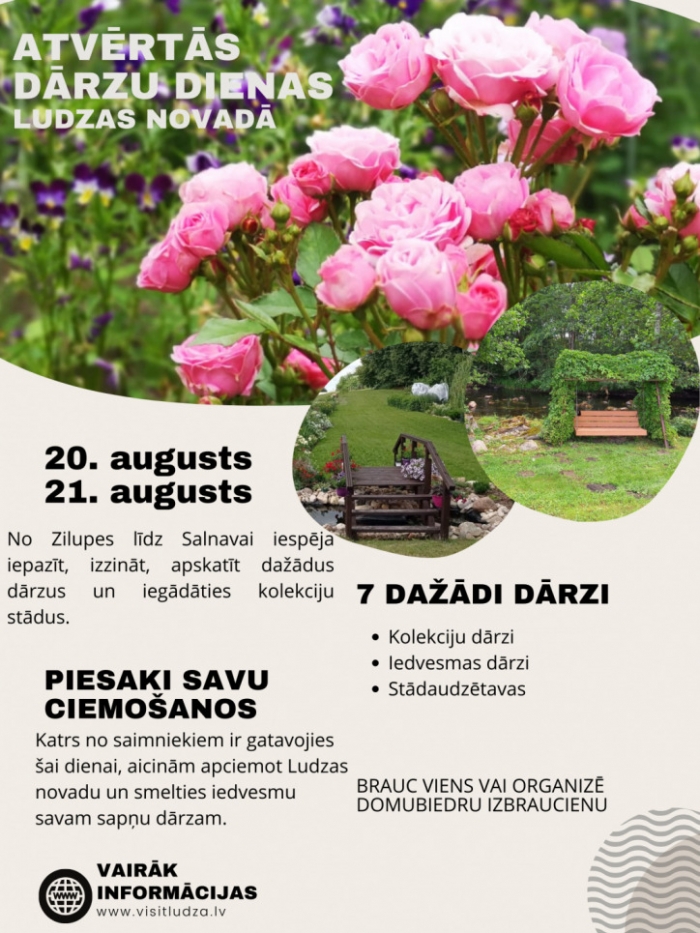infografika