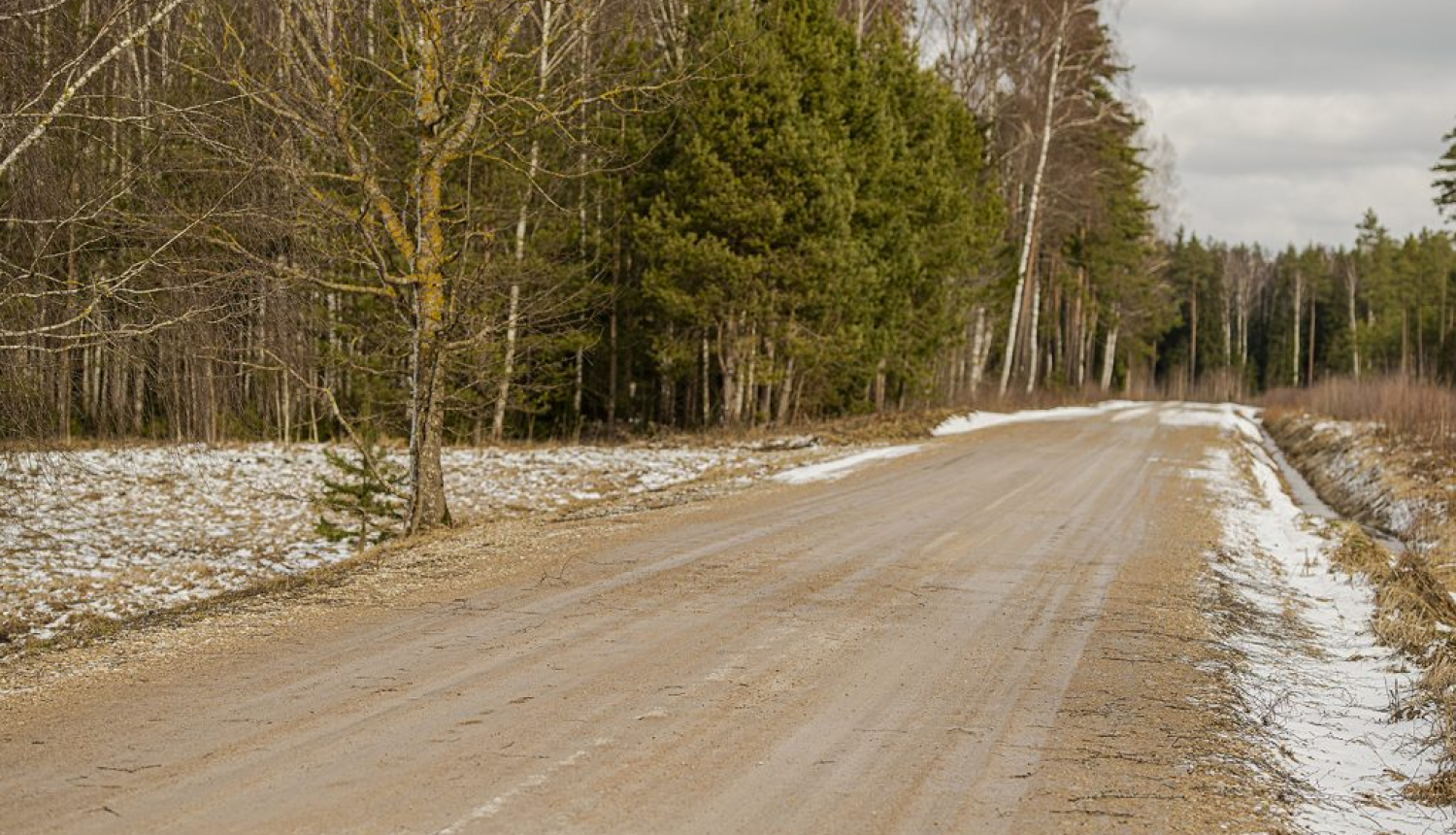 VSIA "Latvijas Valsts ceļi" publicitātes attēls