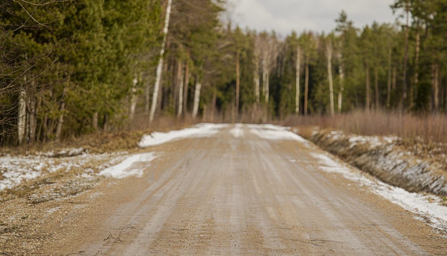 VSIA "Latvijas Valsts ceļi" publicitātes attēls